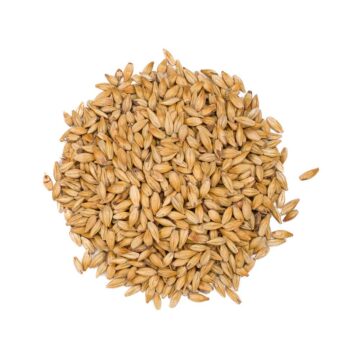 CHÂTEAU CARA Blond® er en lys karamellmalt som gir gyllen farge, mild karamellsødme. Brukes blant annet i oppskriften til lucky jack