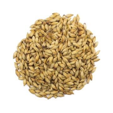 Château Cara Gold A dark Belgian caramel-style malt. High temperature of germination. Taste development at up to 220°C, intense aroma.