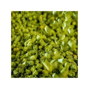 7-11% alfasyre innhold. Beregnet for ølbrygging!