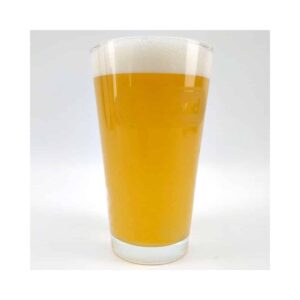 American Shaker Pint ølglass med øl og herlig skum