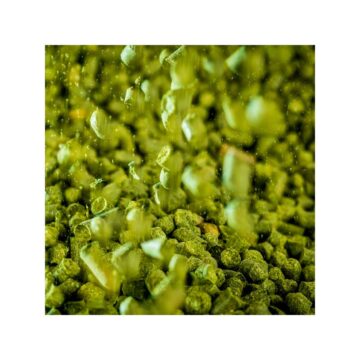 Azacca Humle Alfasyre 11.6%