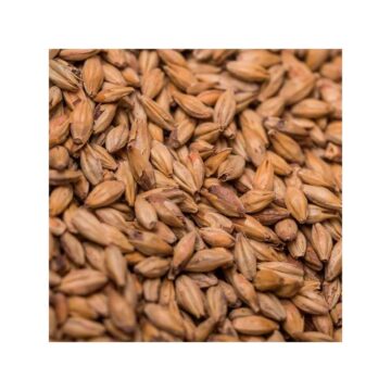 Brewferm Biscuit malt med smak av kjeks og brød