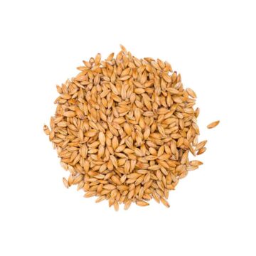 Carahell malt til ølbrygging kjøper du hos Beergear!