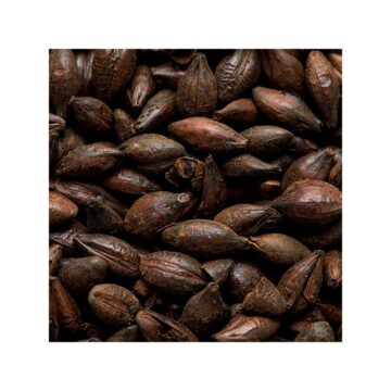 Crisp Low Color Chocolate malt til brygging