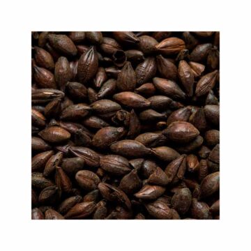 Viking chocolate malt til mørk øl. Sjokolademalt til ølbrygging!