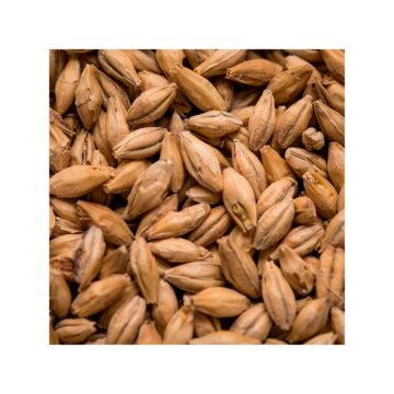 Golden Promise Basemalt