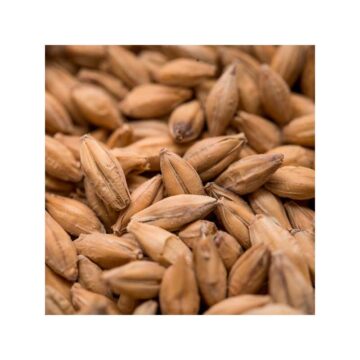 Crisp Maris Otter Ale Malt