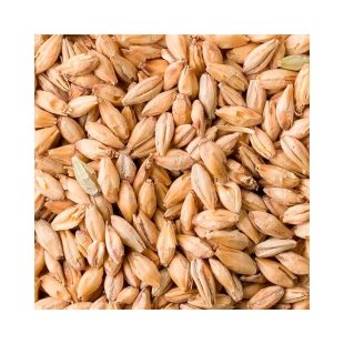 Fuglsang Pale Ale malt Nærbilde