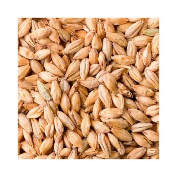 Fuglsang Pale Ale malt Nærbilde