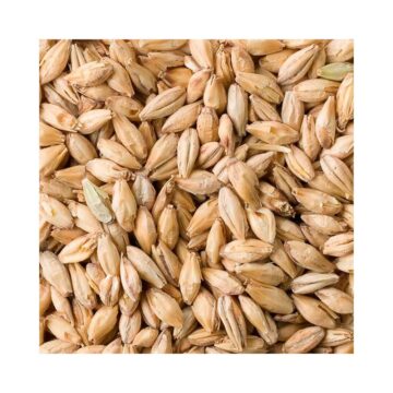 Fuglsang Pilsner Malt for brygging av øl. Ølbrygging er livet ;)