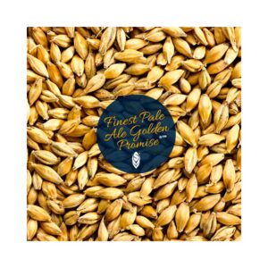 Golden Promise mal. Produsert av Simpsons