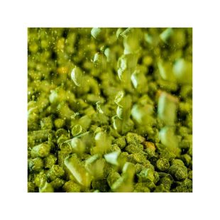 Lemondrop Humle. 100g. 2016