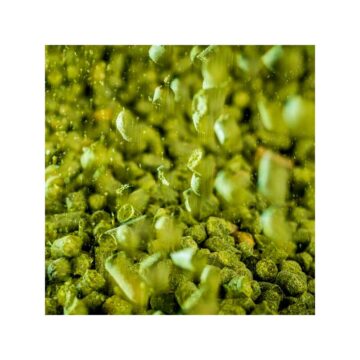 Lemondrop Humle. 100g. 2016