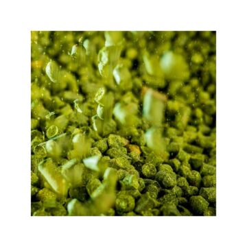 Mandarina Bavaria Humle 2016 100g