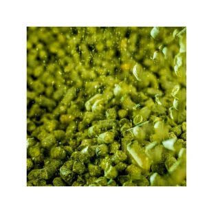 Mosaic Humle Ølbrygging