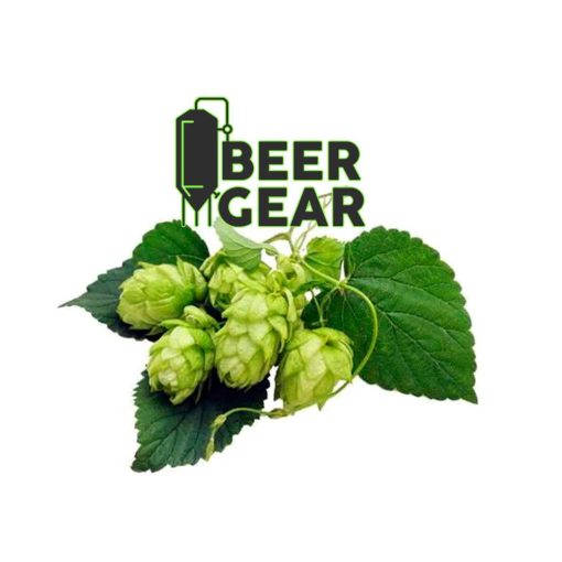 Saaz humle med Beergear logo på