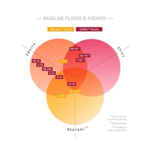 Fermentis W-34/70 egenskaper. Tørrgjær for undergjæret øl. Lagerøl