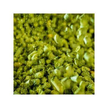 Sladek Humle ølbrygging Fredrikstad