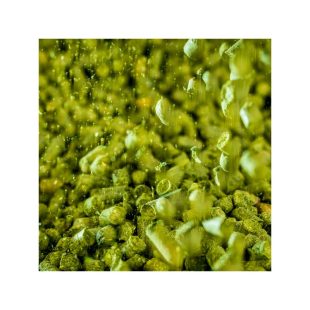 Spalter Select Humle til ølbrygging