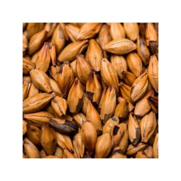 Special B malt ølbrygging