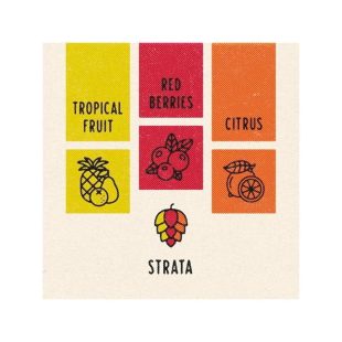 Strata humle info og smak