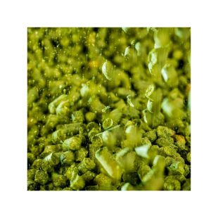 Tettnang Humle Ølbrygging