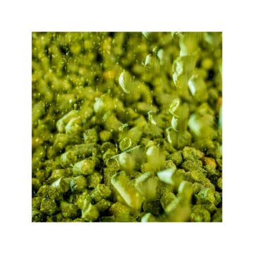 Tettnang Humle Ølbrygging